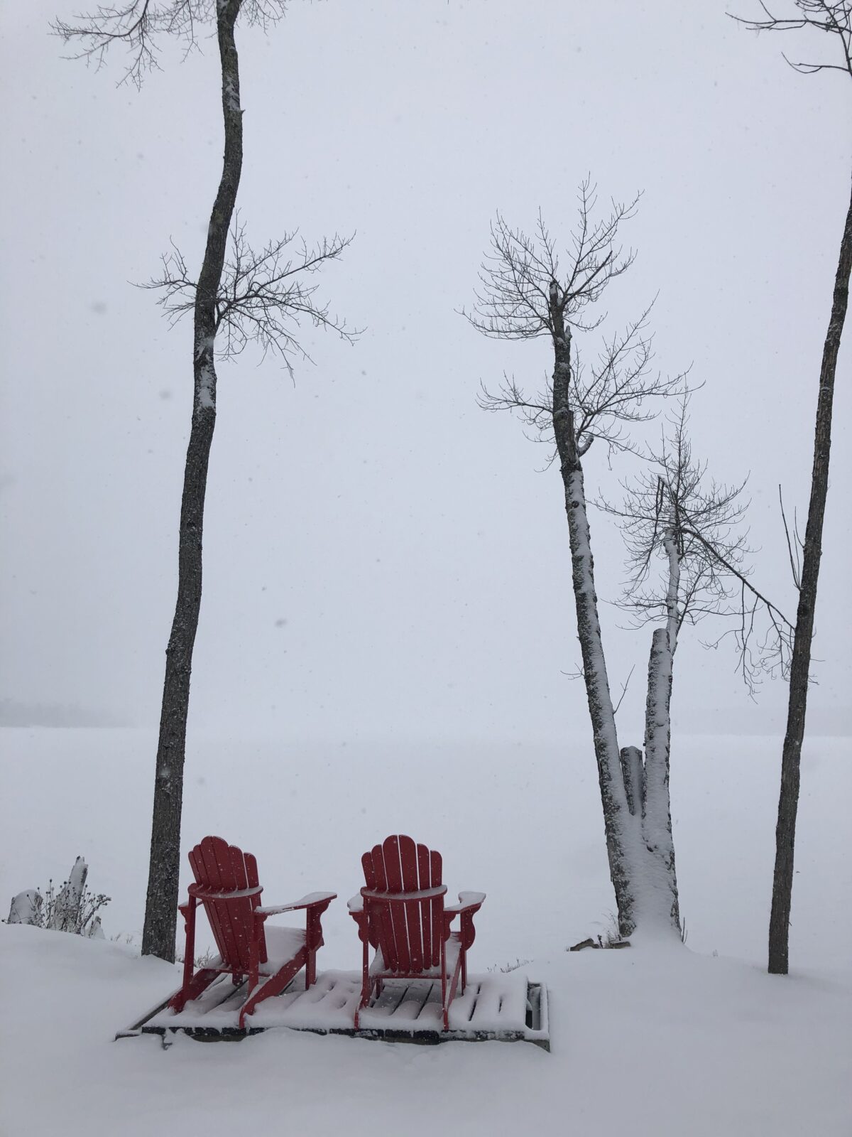 Bright red chars in the snow overlooking the frozen lake.