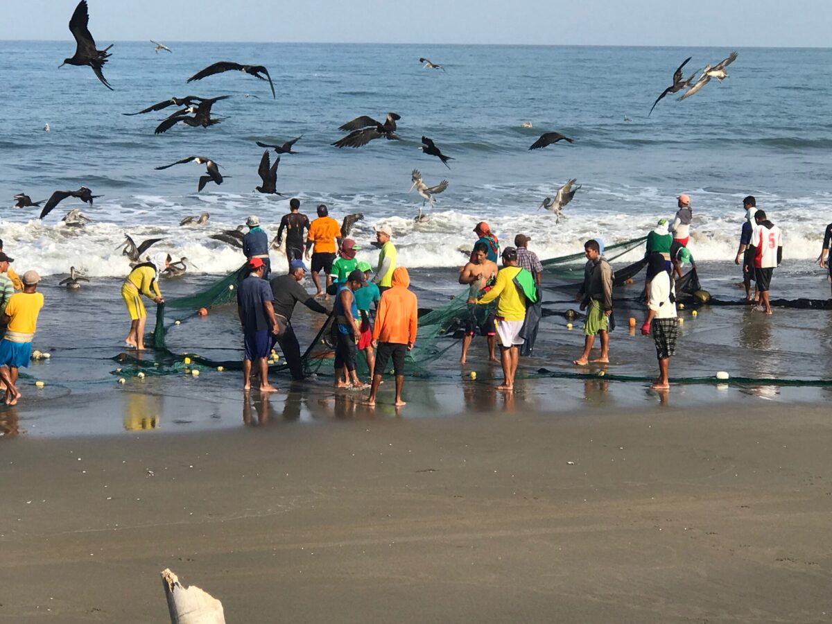 Birds swarming fishermen.