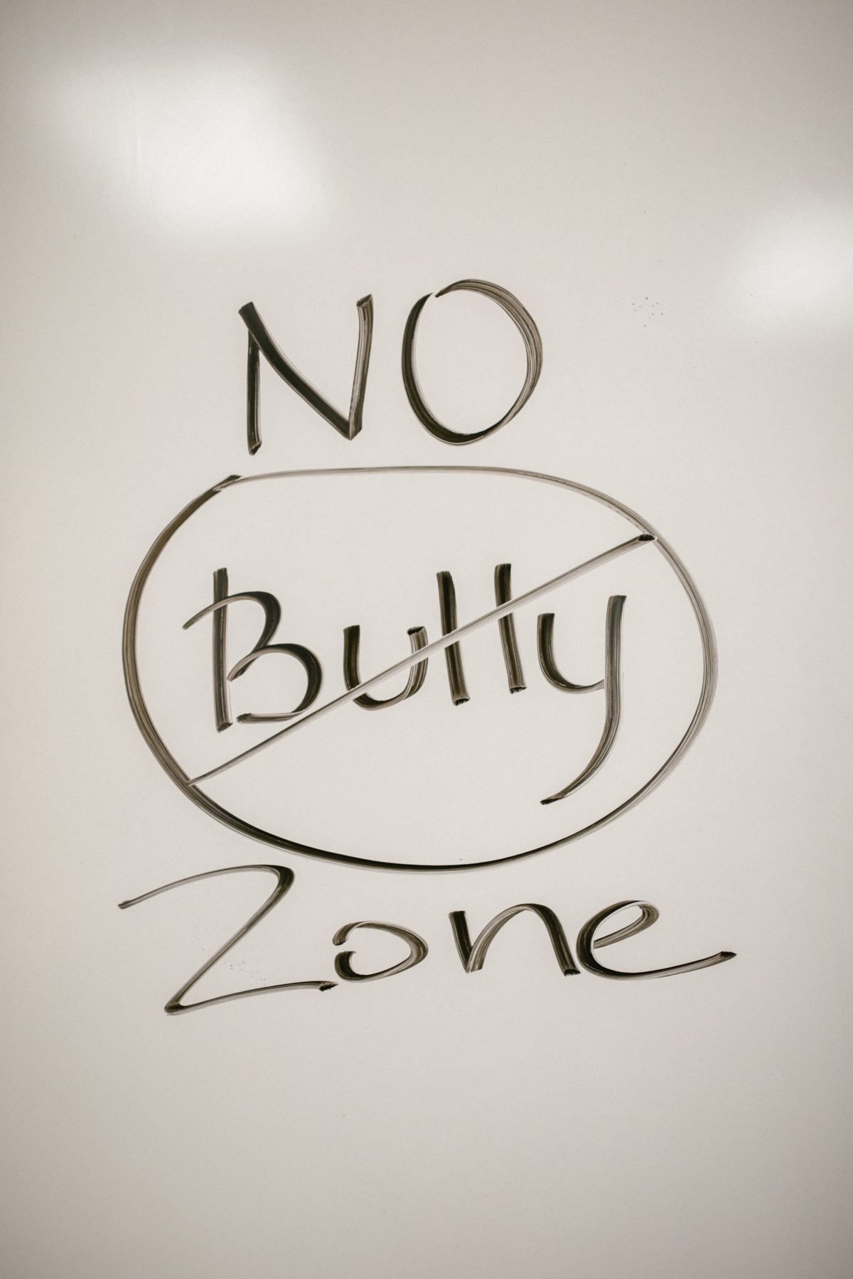 Sign that says "No Bully Zone"