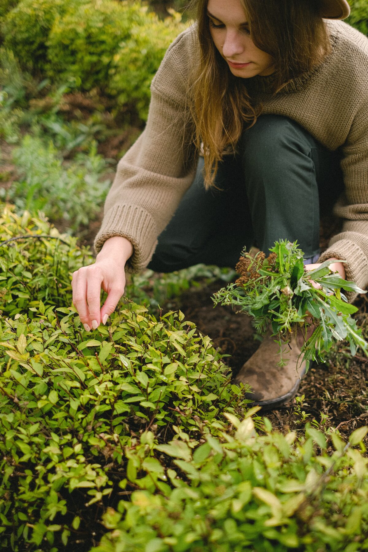 A woman gardening.