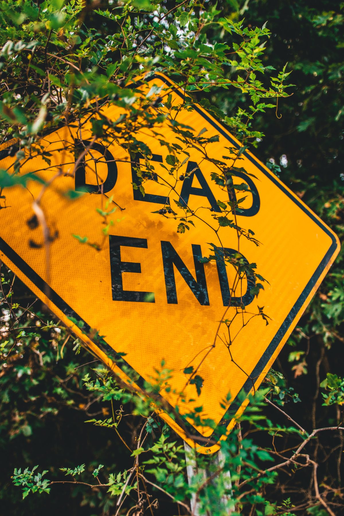 Yellow Dead End sign.