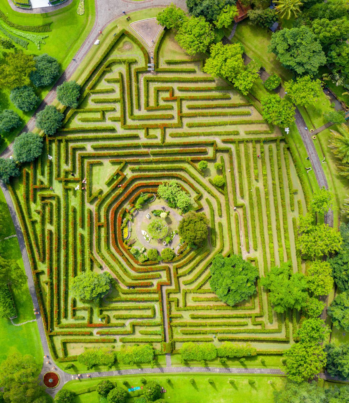 Aerial photograph of a maze made of bushes.