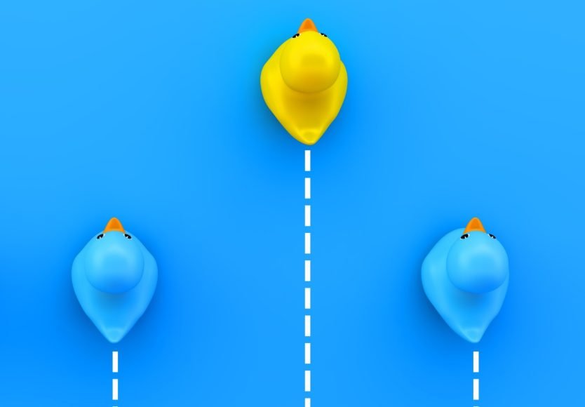 Two Blue and One Yellow Rubber Ducky.