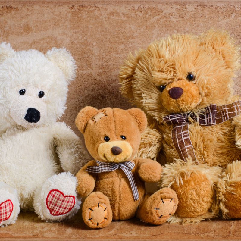 Three Teddy Bears