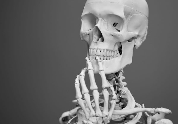 A skeleton.